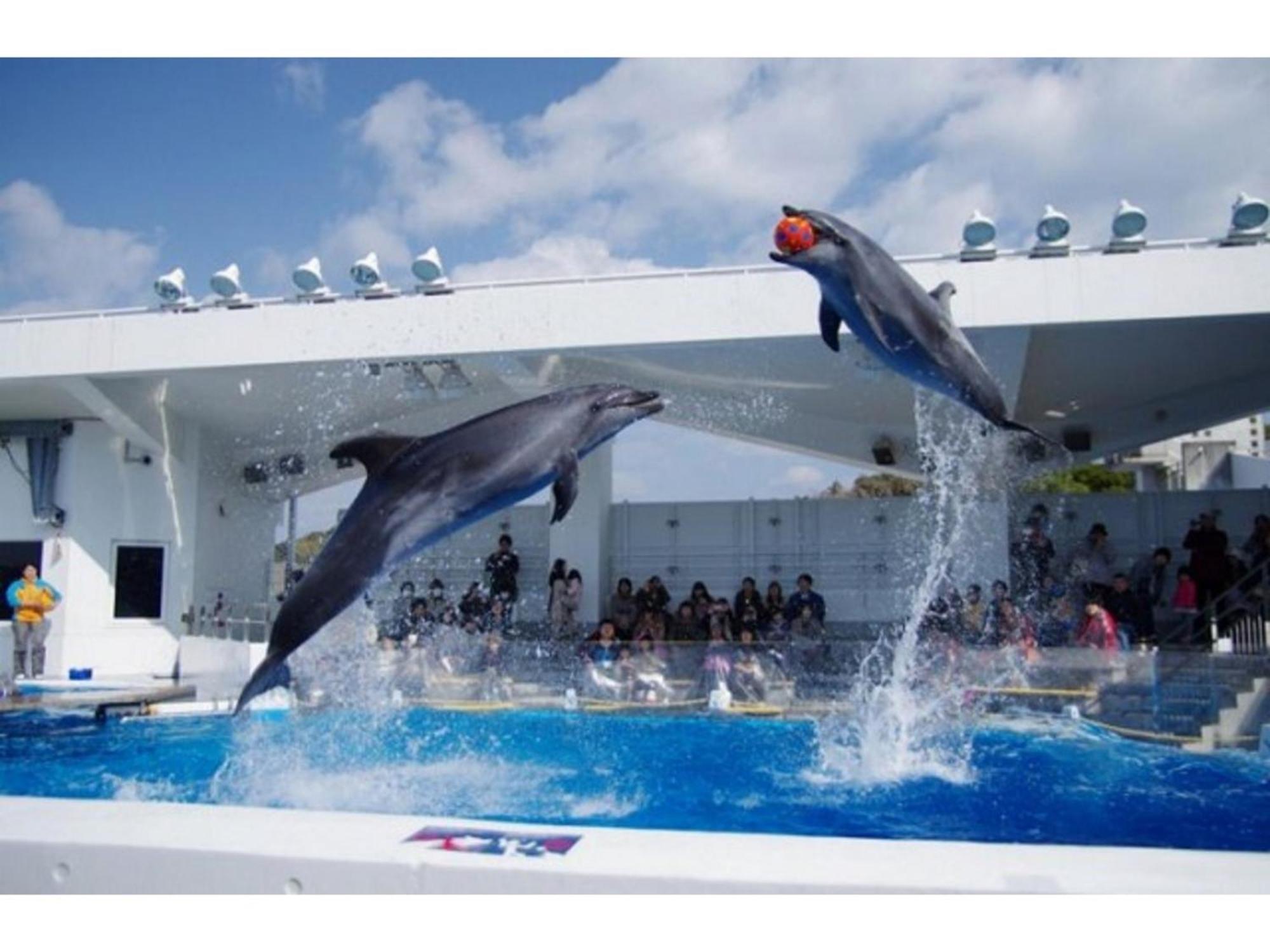 The Paradise Garden Sasebo Exterior foto
